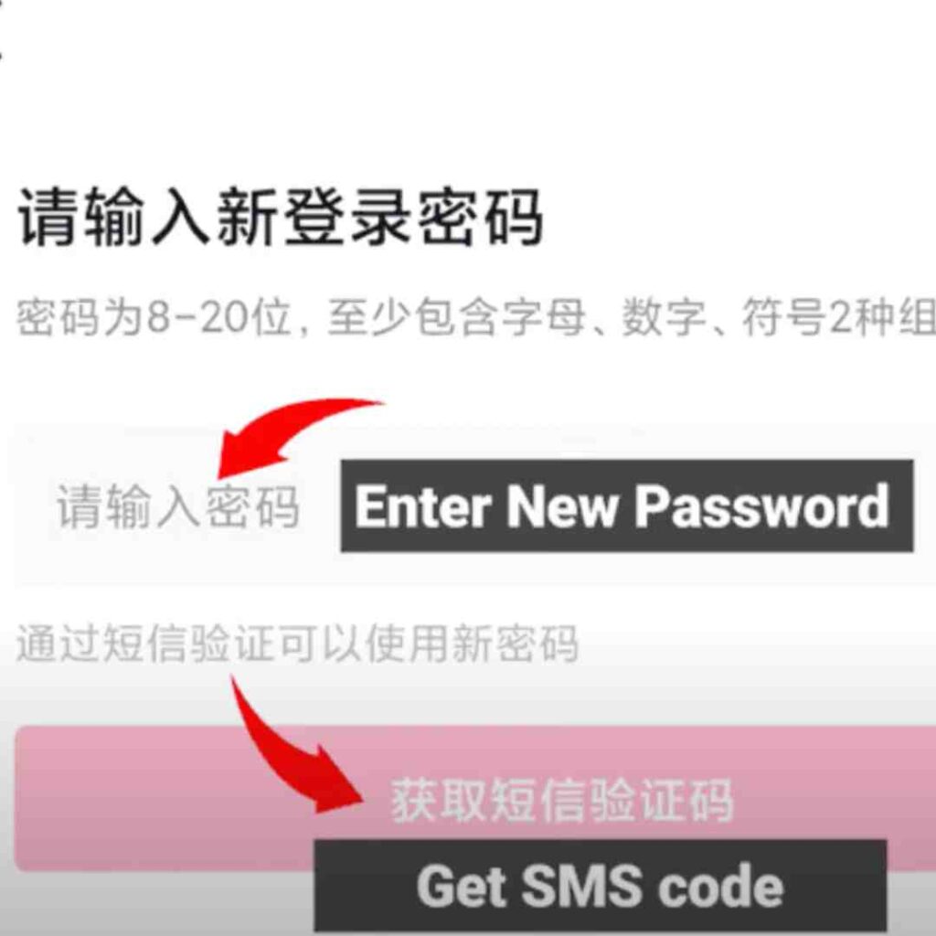 Chinese TikTok App